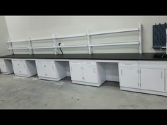 강철 기기 캐비닛 사용자 지정 실험실 테이블 L*1500/W*750mm *H900 mm 차원