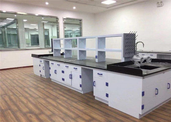 좋은 가격 대량 판매는 고등학교에게 학교 물리학연구소에 쓸 PP 물질과 실험실 작업대를 공급합니다 온라인으로