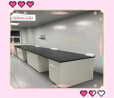 좋은 가격 조정 가능한 유리 선반을 가진 고체 화학 실험실 벤치 서버 타입 12mm 두꺼운 유리 선반 온라인으로