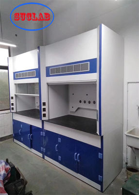 좋은 가격 방화 FRP 물질 벽에 장착 된 안전 기능을위한 실험실 연소 캐비닛 온라인으로