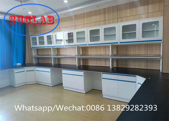 좋은 가격 현대 맞춤식 화학 실험실 가구 실험실 가구 저장 및 안전 공급자 온라인으로