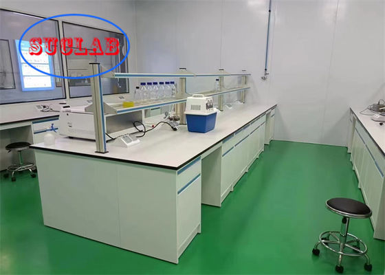 좋은 가격 관세 색상 인도네시아 스틸 실험실 벤치 저장장치 OEM ODM 서버 유형 병원 및 학교 온라인으로