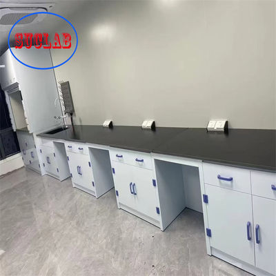 좋은 가격 현대 맞춤식 화학 실험실 가구 가격 홍콩 통합 구조와 표면 처리 온라인으로