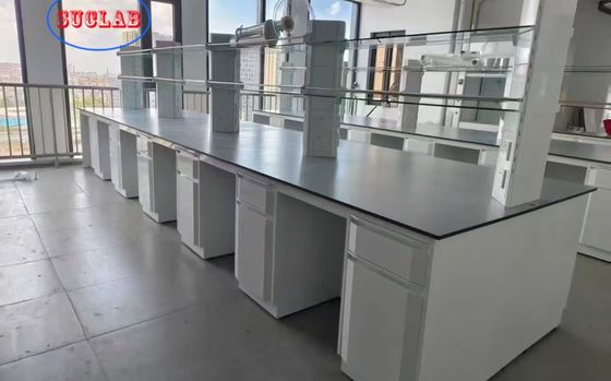 좋은 가격 Upgrade Your Lab with Modern and Durable Powder Coating Laboratory Workstation Furniture 온라인으로