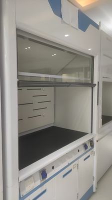 좋은 가격 Customizable Automatic Sash Closure System Fume Hood for American Clients Mr.. Khoa 온라인으로