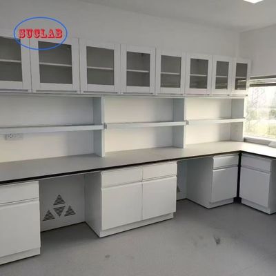 좋은 가격 Customizable Made Chem Laboratory Fumiture Lab Personalized for Your Lab Performance 온라인으로
