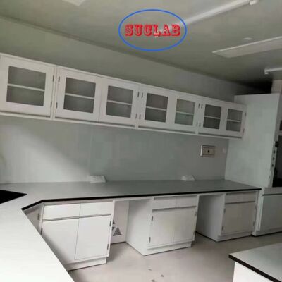 좋은 가격 Full Steel Chemistry Laboratory Benches Featuring Steel Cabinets Corrosion Resistant and Easy to Maintain 온라인으로